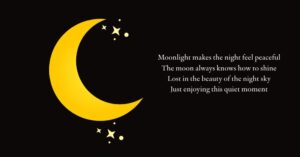 699+ Best Moon Captions for Instagram to Make Your Photos Shine