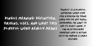 Dingus Meaning_ Definition, Origins, Uses, and What This Playful Word Really Means
