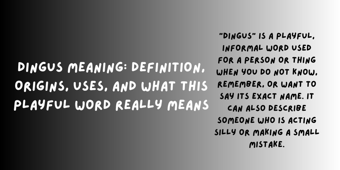 Dingus Meaning_ Definition, Origins, Uses, and What This Playful Word Really Means