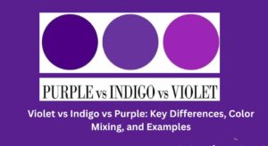 Violet vs Indigo vs Purple: Key Differences, Color Mixing, and Examples