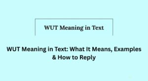 wut-meaning-in-text